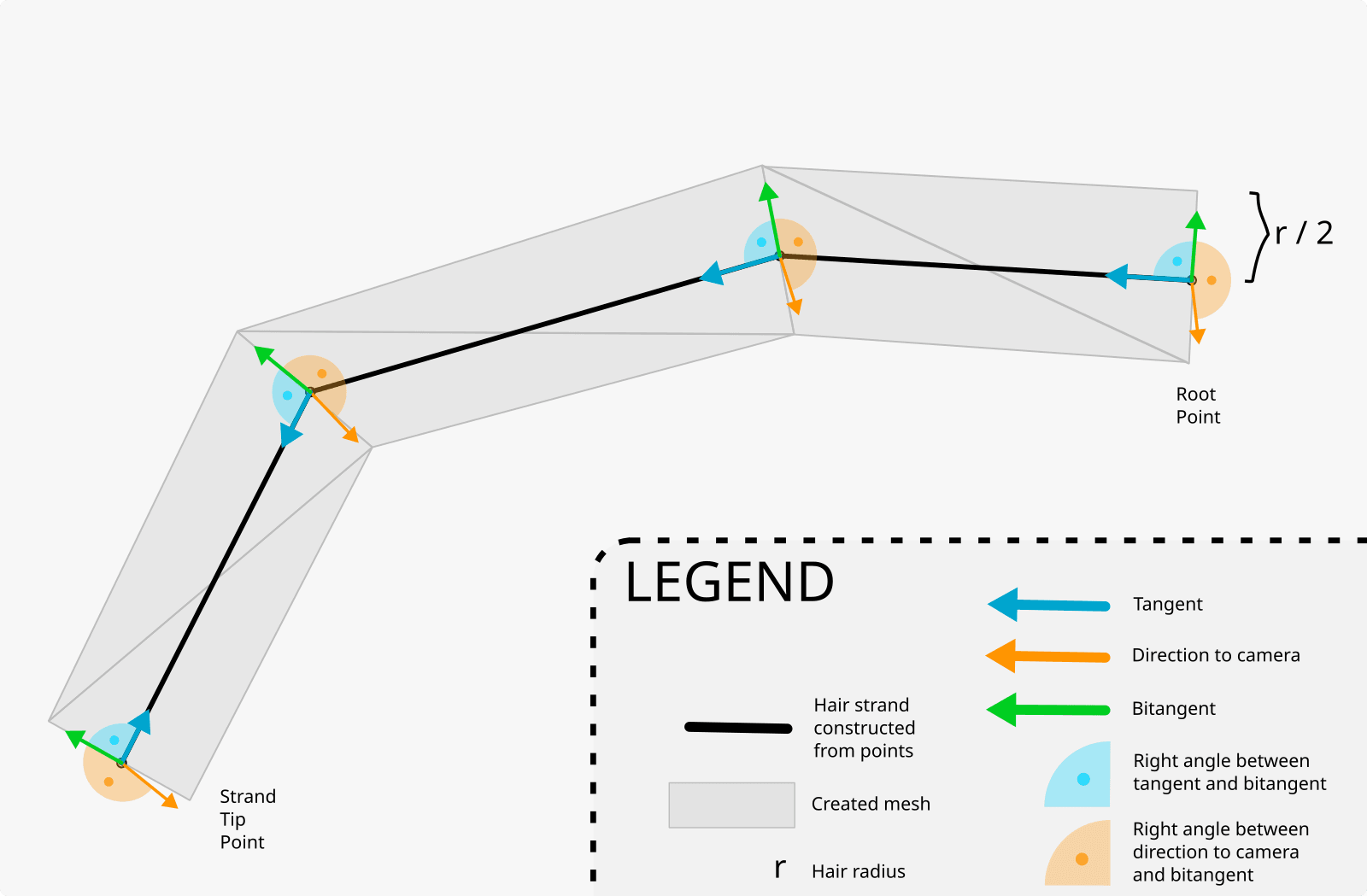 Vectors that create a mesh in strips renderer mode.