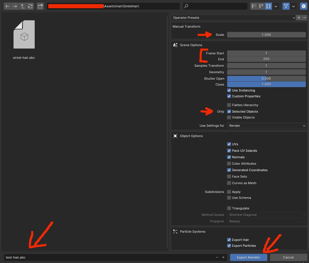 Blender export settings for Alembic file that contains hair's curves.